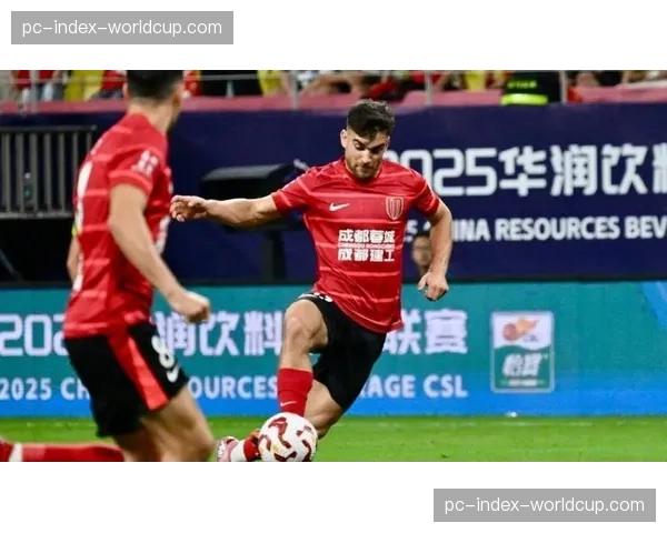 成都蓉城新援索罗金：适应中超节奏，目标帮助球队争冠